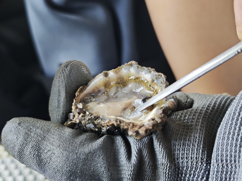 我們家的兩天一夜嘉南之旅 - Day1 台江魚樂園 / 安平老街 / 再訪台南晶英酒店 / 台南新光三越