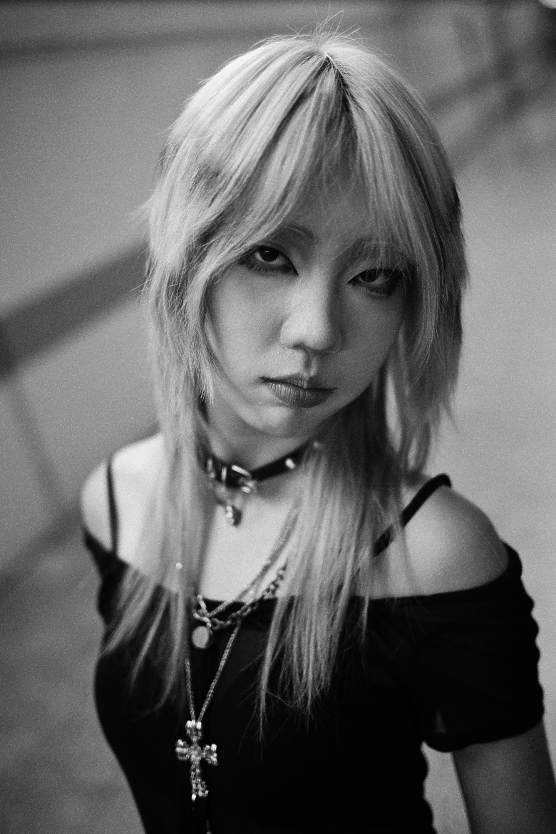 Nikon Zf 3.0 韌體更新分享｜顆粒模擬