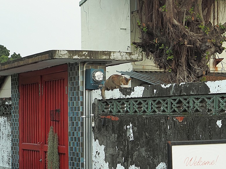 鳳山黃埔新村、衛武迷迷村、黃埔新村、可可米果之饅頭豆腐乳、璞味綿綿冰、外掛平價餐廳醉便宜與雨利廚房— 高雄鳳山眷村與彩繪國宅散策