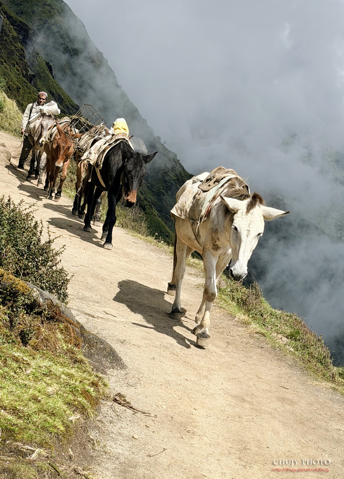 (chujy) 尼泊爾魚尾峰登山之旅｜Mardi Himal Trek -在神山懷抱中醒來