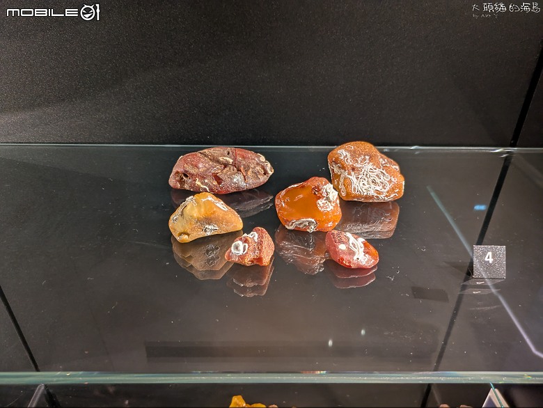 點我看大圖 波蘭: 格但斯克 邊走邊踩到歷史的城市~ (Gdansk)