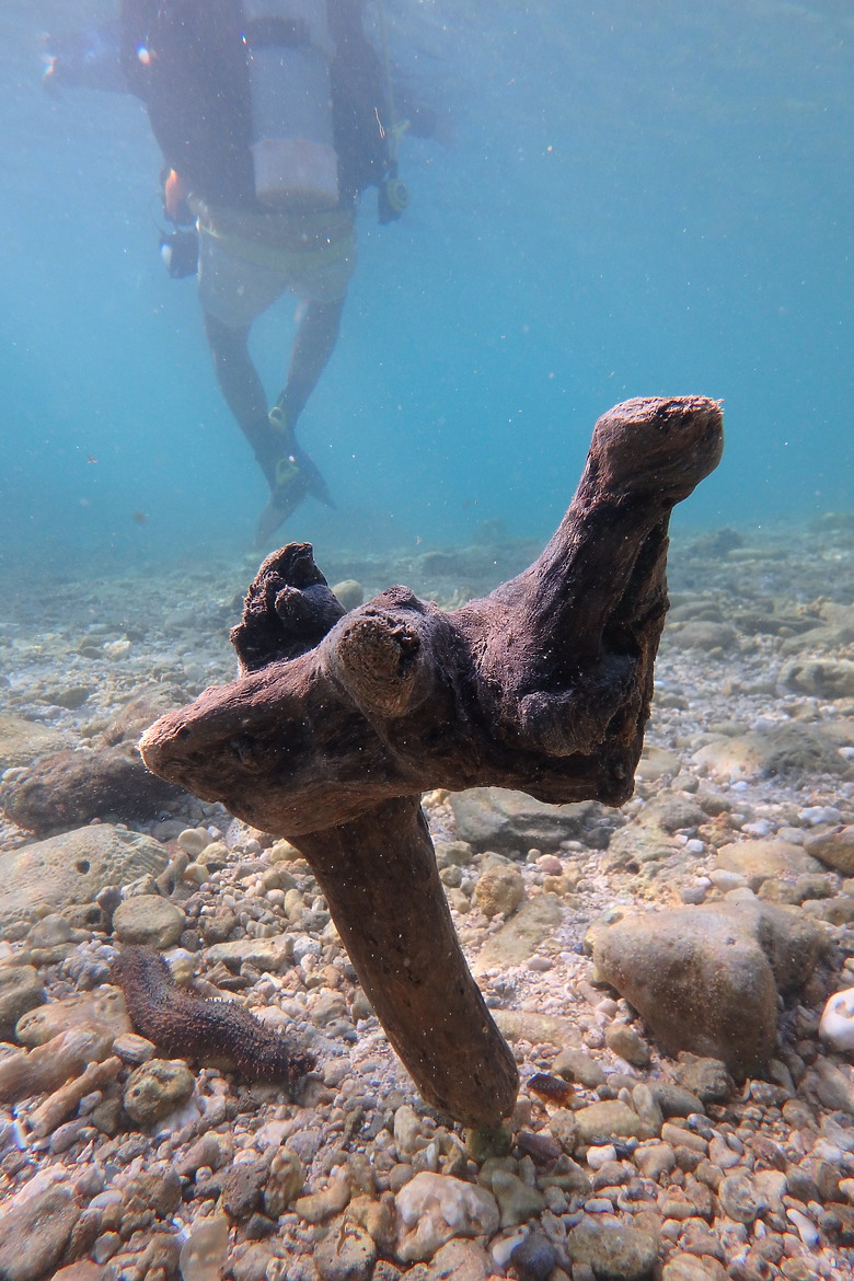 【上課+潛水】10月的水下影像紀錄