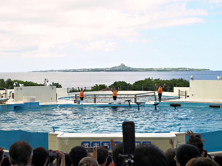 沖繩自助旅行不自駕交通攻略與景點簡述 — 泰越捷VZ568+VZ569、那霸機場入出境、當地GO及Uber、kkday包車接送、沖繩單軌(沖縄都市モノレール)、Air Porter 行李特工(運送) — 2025年教師節連假之日本沖繩不自駕四日之旅 — 「楔子」