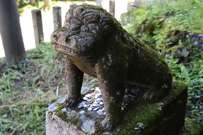 中+西九州自由行--上集(自駕篇:鍋瀑布/大觀峰/小火車/高千穗峽&神社/熊野座神社/白川水源/阿蘇火山/草千里)