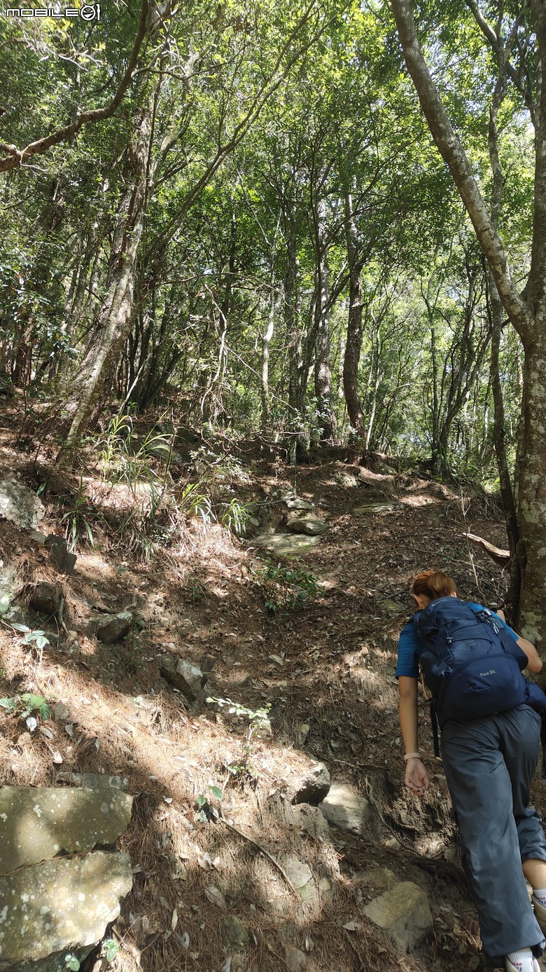 台北天氣不好-到中部爬山-谷關七雄-烏東縱走