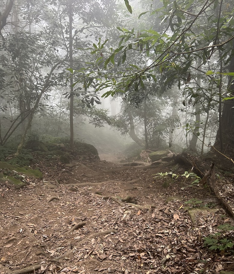第一停車場-南線登山口-天然湖登山口-馬那邦山-上湖登山口-回出發點，逆O