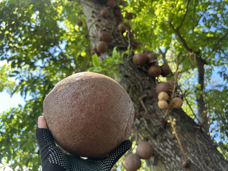 海 線 高 雄 梓 官 一 日 騎 遊 ( 中 集 )