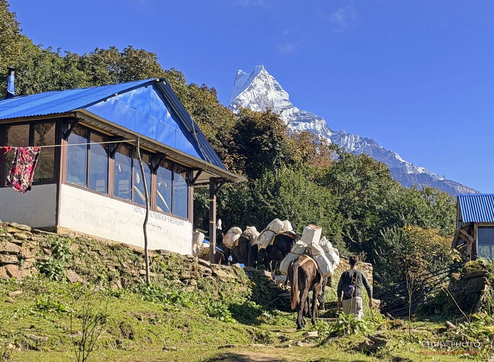 (chujy) 尼泊爾魚尾峰登山之旅｜Mardi Himal Trek -在神山懷抱中醒來