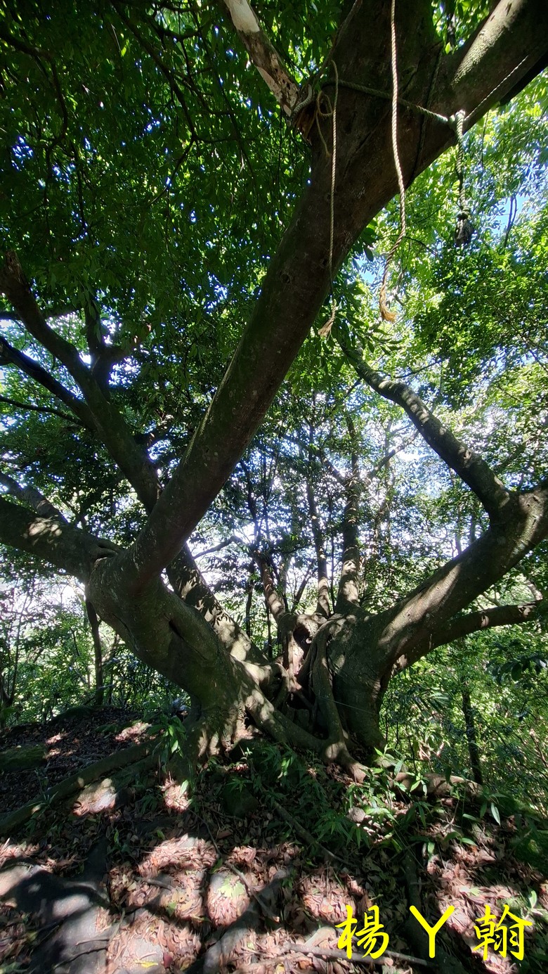 【郊山走走】火焰山縱走大暖尖山(承暖步道)