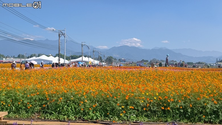 2025年臺中國際花毯節、新社花海、藍天白雲、花花世界 — 2025年 深秋臺中散策之一