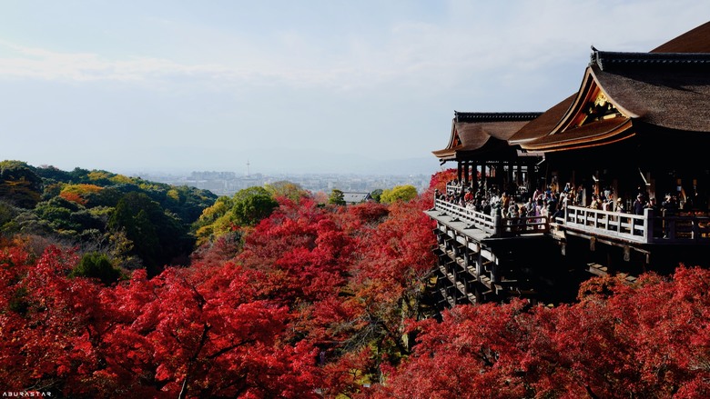 京都楓紅+富士山的10天日韓自由行