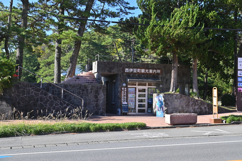 富士五湖與伊豆半島自駕6日遊 part4-堂島、天窓洞、達磨山、韮山反射爐、大室山、一碧湖、明治神宮外苑銀杏林