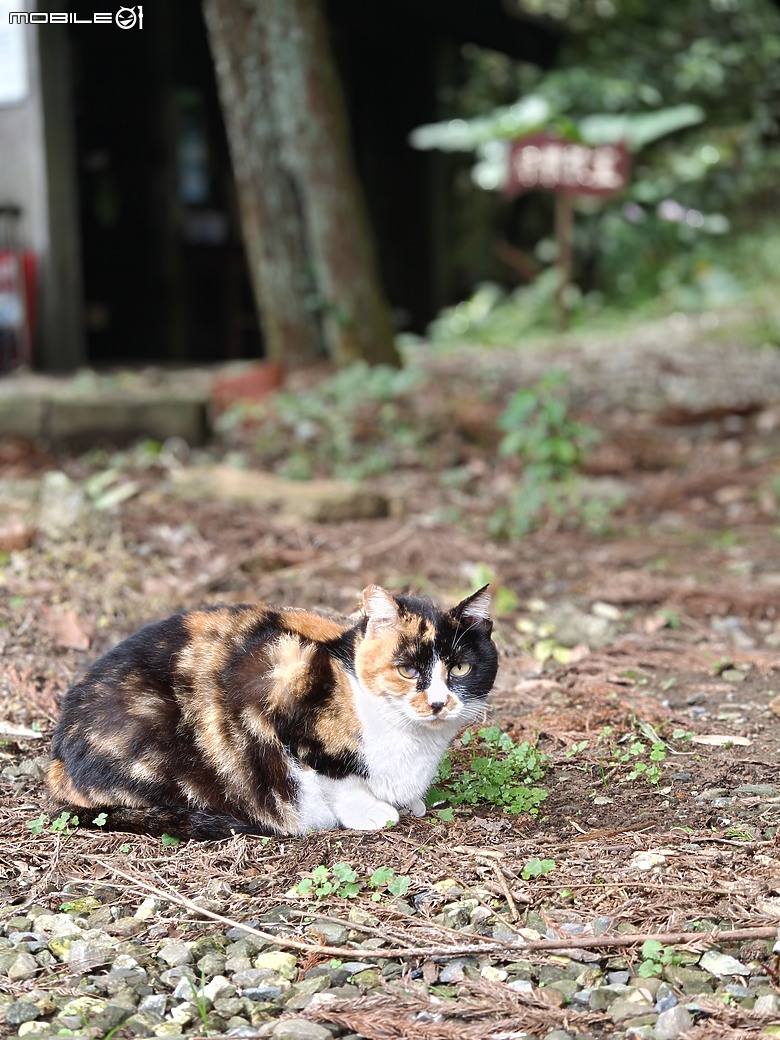 realme GT 8 Pro 體驗｜理光 GR 靈魂上身，全能旗艦闖出新路！