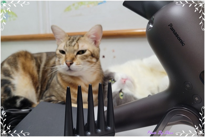 蓬然心動-偶遇Panasonic EH-NC80-T Hair Dryer 開箱體驗