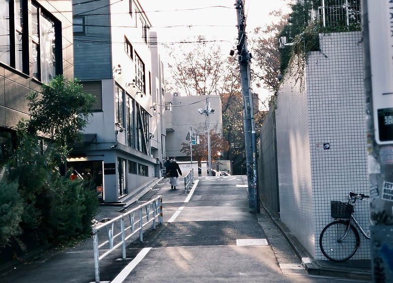 [旅拍圖多] 金澤楓景、富山老街、東京巷弄｜X-T50 + Touit 32mm 邊走邊拍