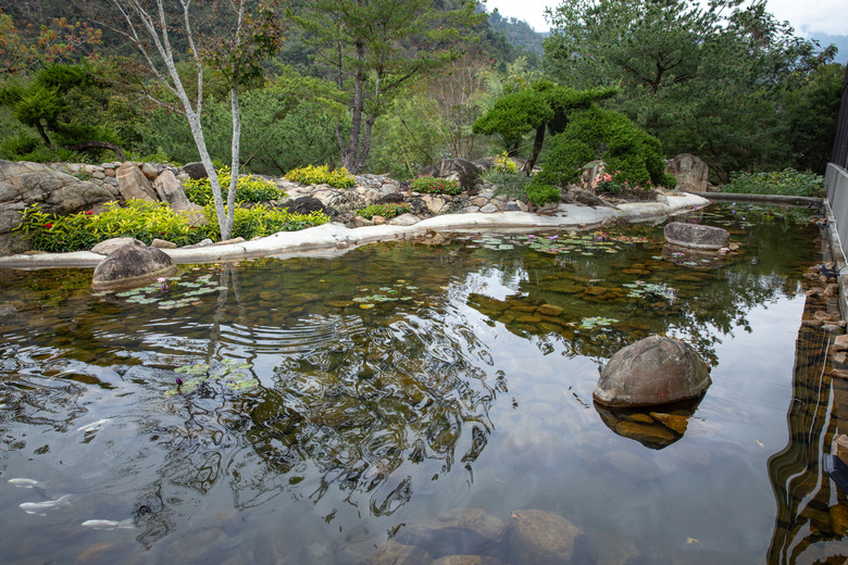 點我看大圖 在春秋交界入座,南投山林裡的食光