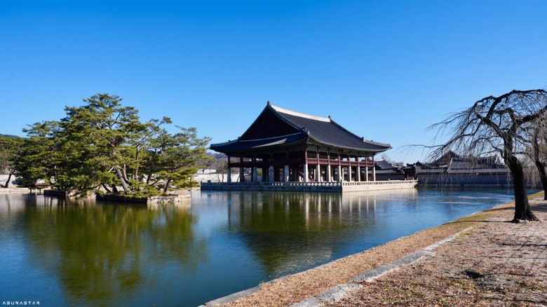 京都楓紅+富士山的10天日韓自由行