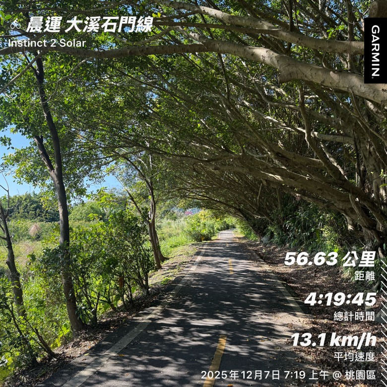 胖叔的公路車,請給建議?