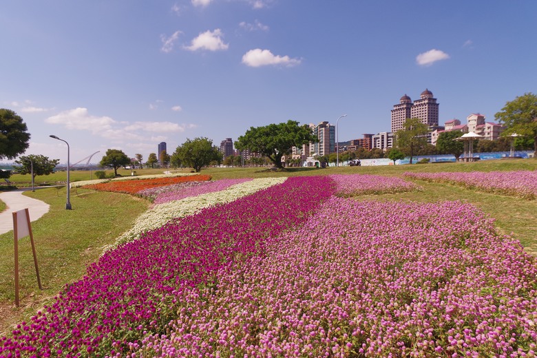 smc DA 16-45mm 在台北美堤公園