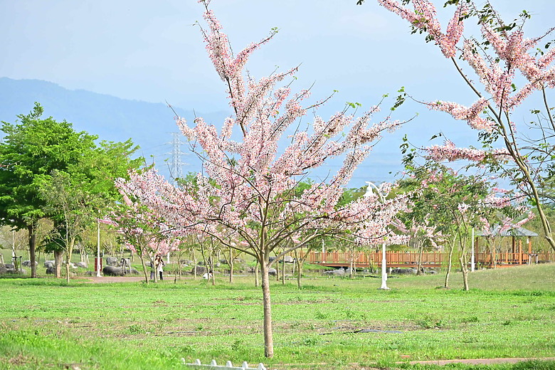 點我看大圖 Nikon Zf的首發表文,5.5公頃新埤綜合休閒公園環境改善工程即將完工,歡迎春節期間大家來遊玩。