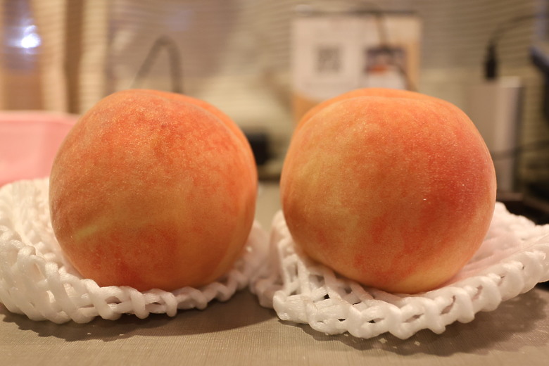 西九州自由行--下集(火車篇:長崎稻佐山夜景/豪斯登堡樂園/福岡市區逛街美食)