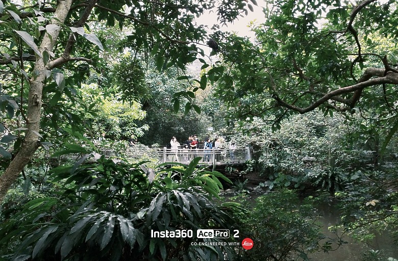 Insta360 Ace Pro 2 使用分享 / 街拍 / 配件 / 情境