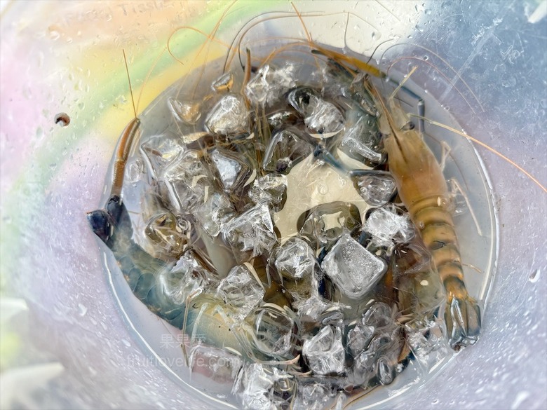 南投薑母鴨推薦，薑母鴨、胡椒全鴨還可以一鍋兩吃，山泉水養殖吳郭魚、現撈泰國蝦，埔里在地美食