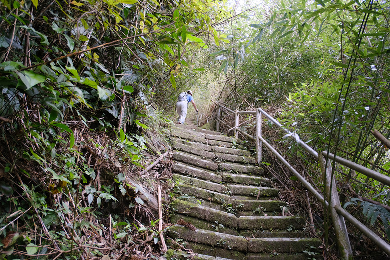 【大湖尖山】一座爬的膽戰心驚的山 | 阿里山下小百岳