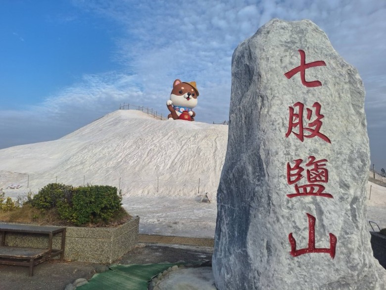 台南超萌新地標！巨型柴犬「鹹DOG DOG」攻佔七股鹽山！