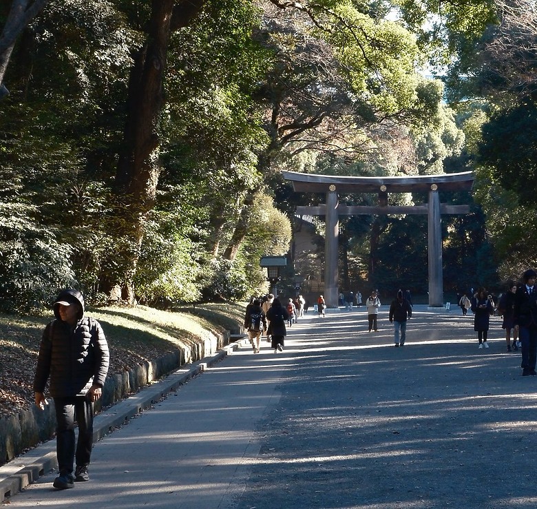 [旅拍圖多] 金澤楓景、富山老街、東京巷弄｜X-T50 + Touit 32mm 邊走邊拍