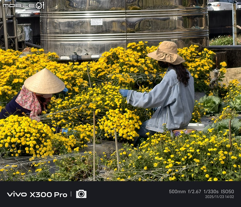 vivo X300 Pro 臺灣上市版本 旅拍攝影2個月之實拍分享