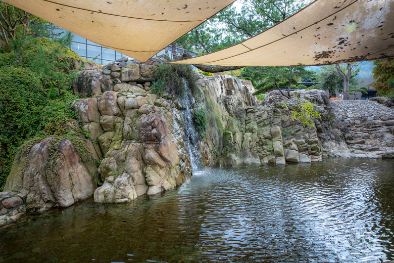 點我看大圖 在春秋交界入座,南投山林裡的食光