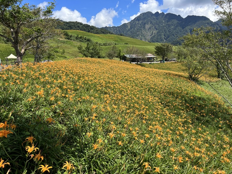 騎 遊 東 竹 小 站 ( 六 十 石 山 ) 之 旅