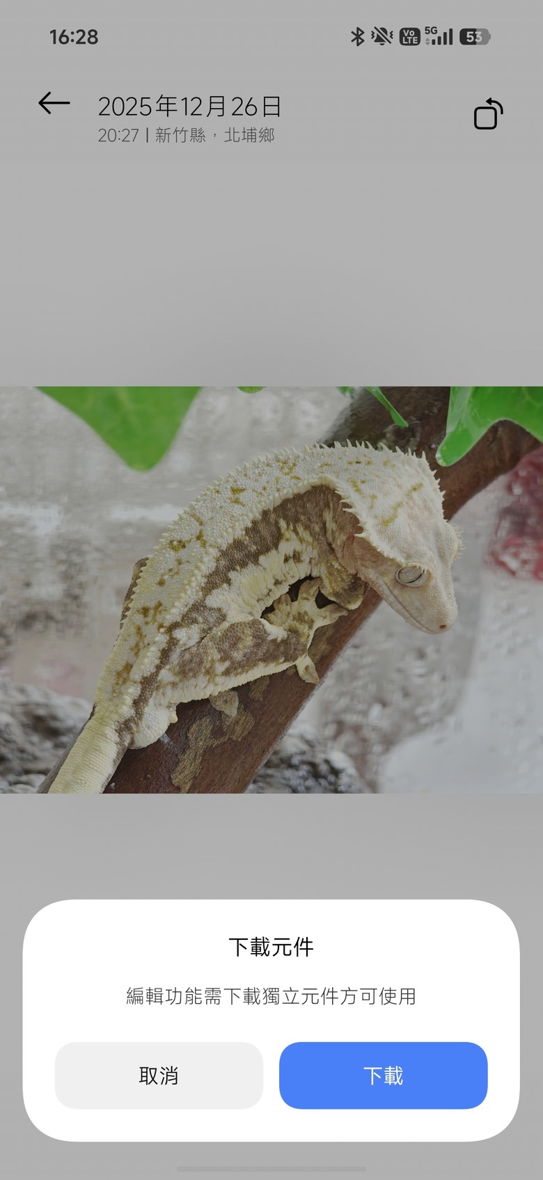 求救！POCO F8 Ultra 相簿內照片無法編輯。