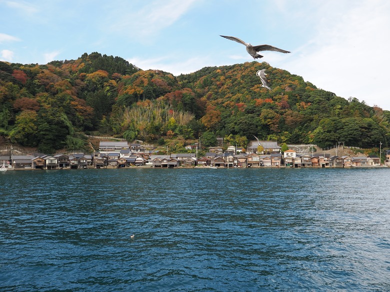 25年11月下旬 關西賞紅葉 [OM1 MK2 + PL 12-60mm]