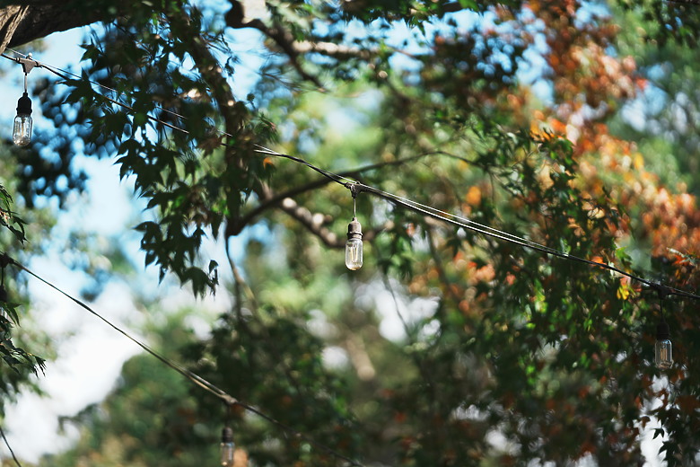 Zeiss Otus ML 1.4/50 & 1.4/85 雙鏡評測｜無反手動鏡的天花板、極致解像力的展現！