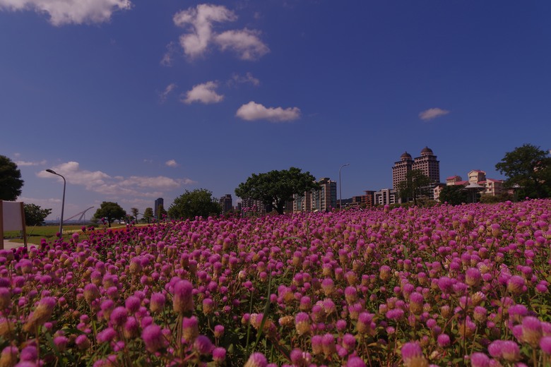 smc DA 16-45mm 在台北美堤公園