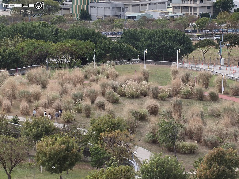 OPPO Reno15 Pro Max 體驗｜2 億畫素主鏡頭加持，實況照片玩法再升級！