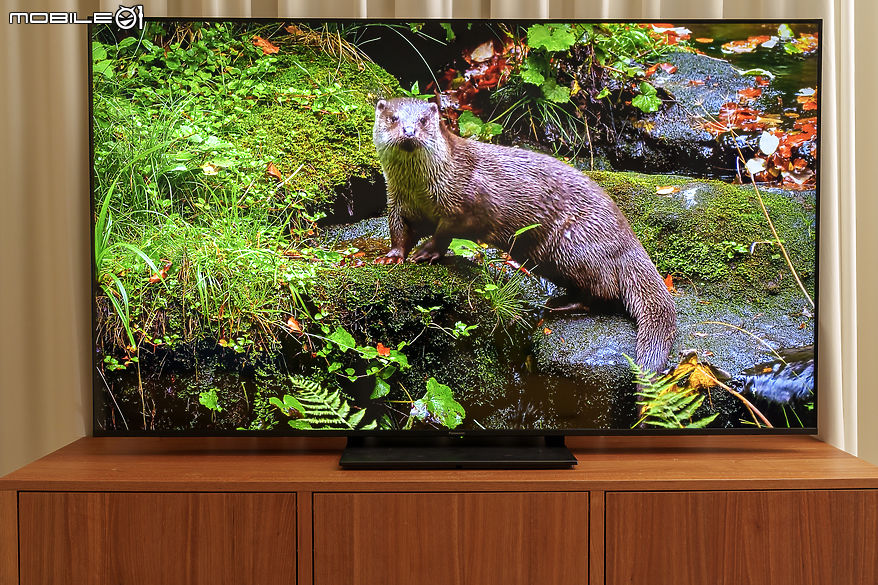 Panasonic W95B 系列旗艦 Mini LED 4K 智慧顯示器｜展現真自然畫質的極致魅力