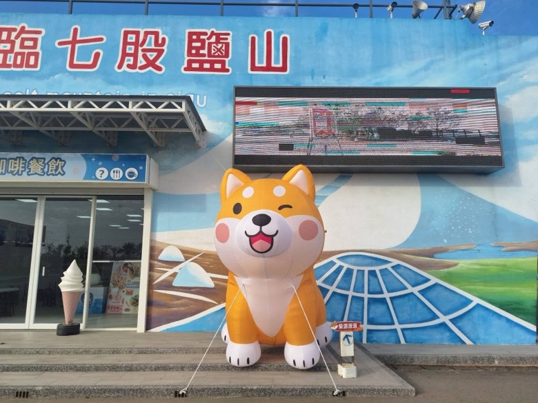 台南超萌新地標！巨型柴犬「鹹DOG DOG」攻佔七股鹽山！