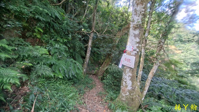 [2025 微笑山線] 北部三大岩場之 筆架連峰縱走