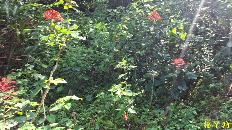 [2025 微笑山線] 北部三大岩場之 筆架連峰縱走