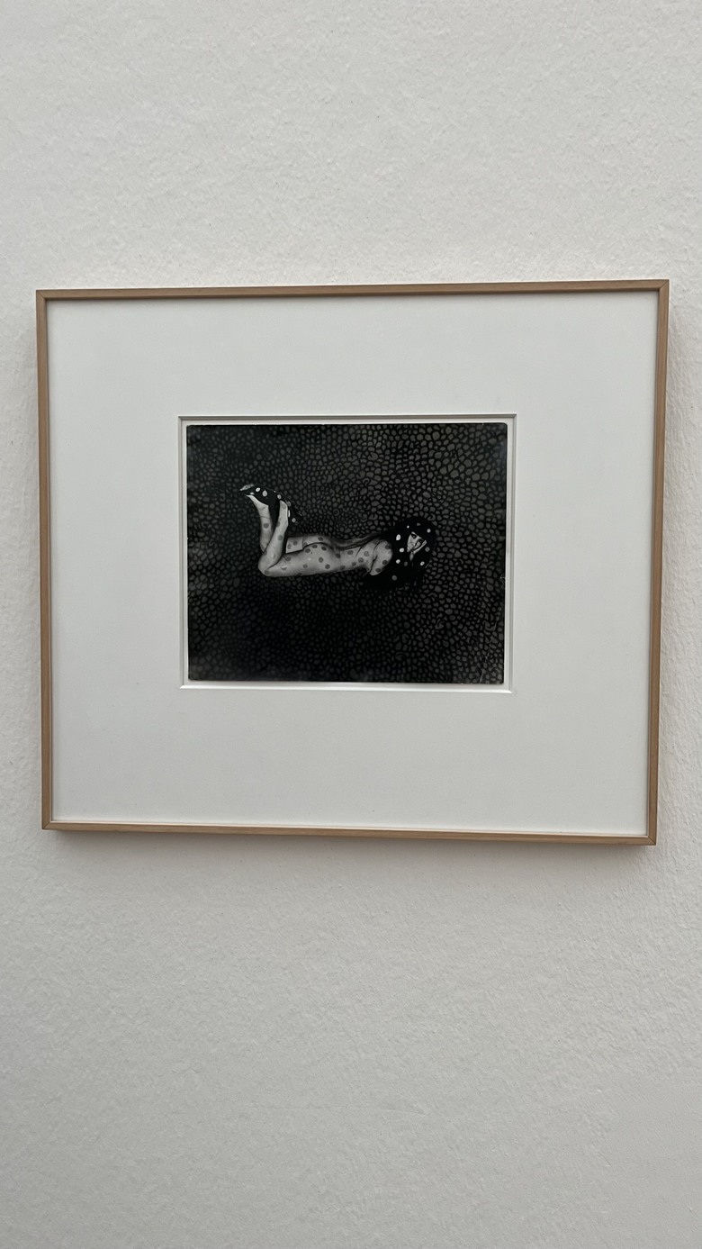 草間彌生首次回顧展在巴塞爾貝耶勒基金會