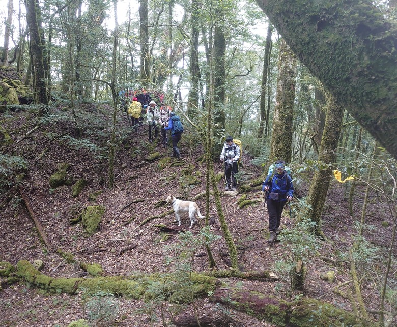 2020/12/26 霞喀羅大山、佐藤山，夜宿清泉天主堂，和April等山友一齊爬山