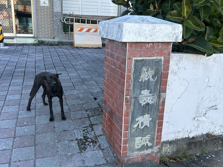 騎 遊 東 竹 小 站 ( 六 十 石 山 ) 之 旅