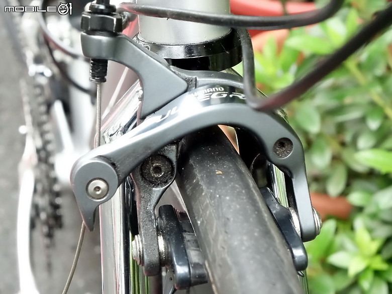 騎單車最後自行組裝鋼管公路車.