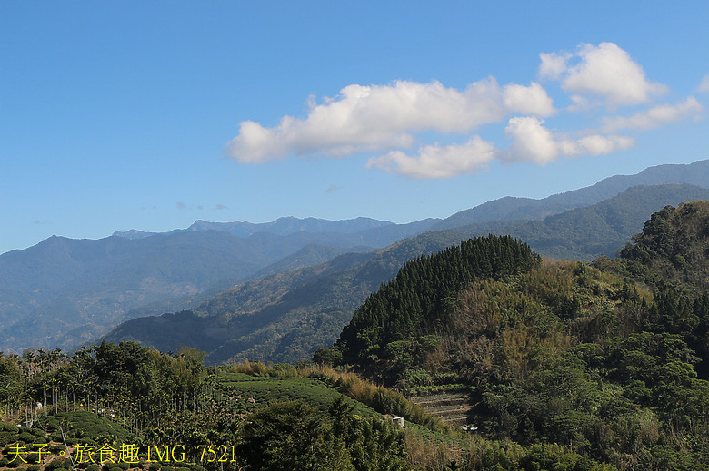 嘉義阿里山 隙頂 璦勒芬莊園民宿 全新開箱