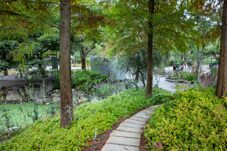 點我看大圖 在春秋交界入座,南投山林裡的食光
