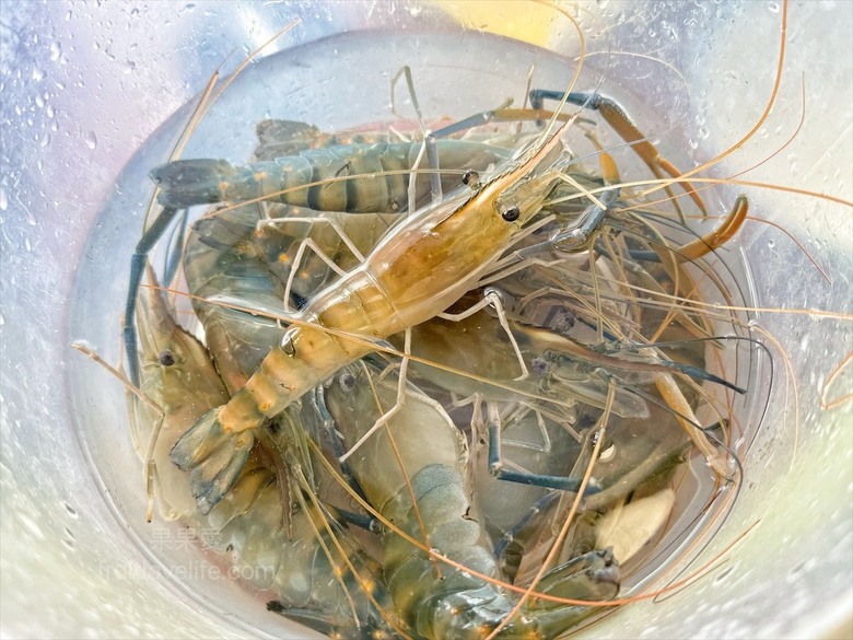 南投薑母鴨推薦，薑母鴨、胡椒全鴨還可以一鍋兩吃，山泉水養殖吳郭魚、現撈泰國蝦，埔里在地美食