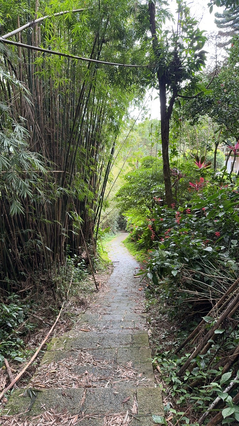 北投惇敘商工・橫嶺古道、太子亭遺跡、紗帽山散步之旅｜使用蔡司雙筒望遠鏡ZEISS Victory Pocket 10x25